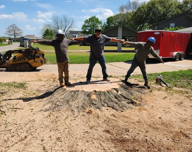 deadwood tree services 2025 09 25T01:56:26.013580Z 5138